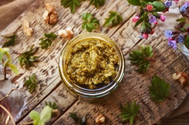 Ev yapımı goutweed veya yaşlı pesto. Baharın başında toplanan vahşi yenilebilir plan..