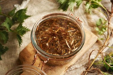 Taze ısırgan otu kökü, ev yapımı bitkisel tentürü hazırlamak için alkolde eriyor.