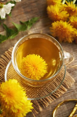 Taze karahindiba çiçekli bir fincan bitki çayı. Bitkisel ilaçlar.