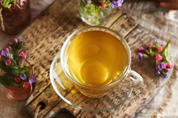 Akciğer otu ya da pulmonarya çayı, tahta bir masanın üzerinde cam bir fincanda.