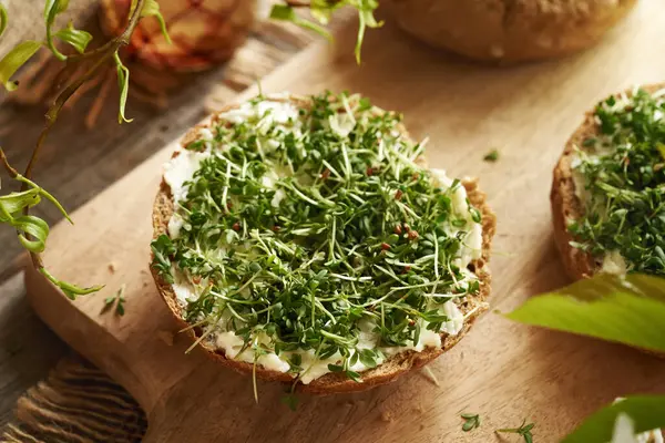 Taze bahçe teresi lahanası ya da tereyağlı çöreğin üzerindeki mikroyeşillikler.