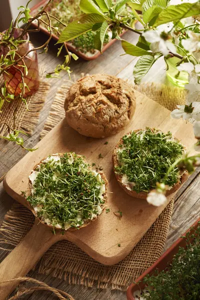 Baharda taze yetiştirilmiş bahçe teresi ya da mikroçim filizi olan ekşi ekmek.