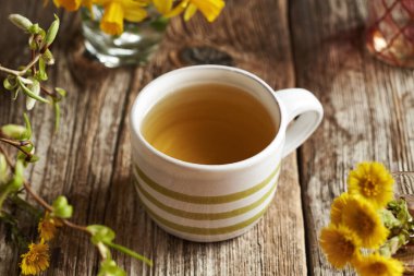 Şeritli bir fincanda bitkisel çay ve baharda toplanan taze koza çiçeği.