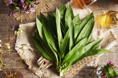 Yabani sarımsak ya da Ramson yaprakları masanın üstünde.