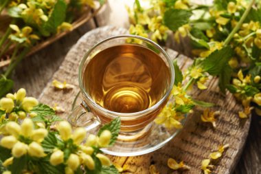 Bir fincan bitki çayı ve çiçek açan sarı başmelek ya da altın ölü ısırgan otu.