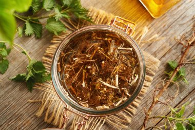 Taze ısırgan otu kökü, ev yapımı bitkisel tentürü hazırlamak için alkolde eriyor.