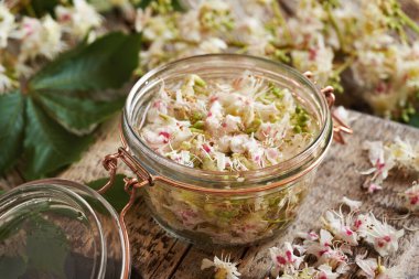 İlkbaharda taze at kestanesi çiçeklerinden ev yapımı bitkisel tentürler.
