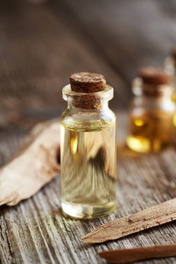 Beyaz sandal ağacı parçalarıyla gerekli bir şişe aromaterapi yağı.