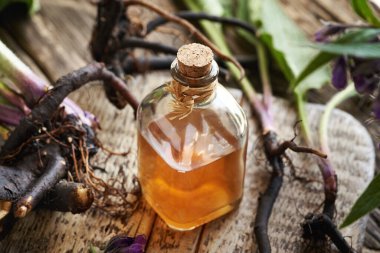 Taze örgü kemikli bitkisel bir tentür şişesi ya da ahşap bir masada kuş kökü.