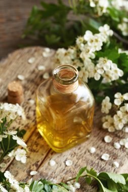 İlkbaharda toplanan taze dikenli çiçekli bir şişe bitkisel tentür.
