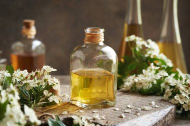 İlkbaharda toplanan taze dikenli çiçekli bir şişe bitkisel tentür.