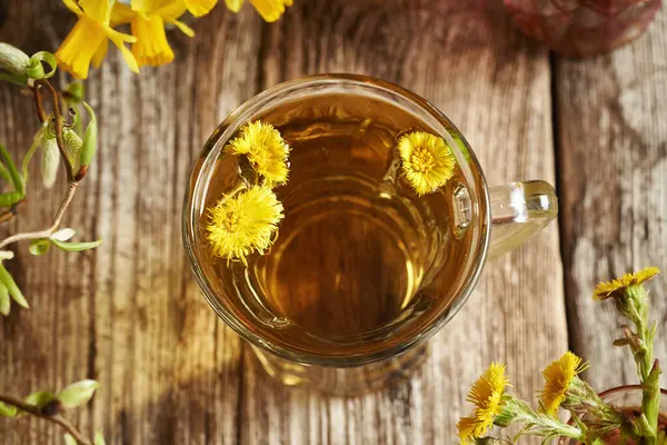 Tahta bir masada, bir fincan bitki çayının içindeki Coltsfoot çiçekleri.