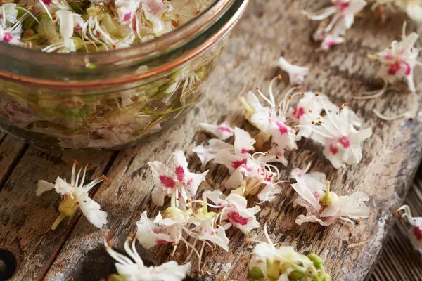 Taze at kestanesi çiçekleri - ev yapımı bitkisel tentürler için malzeme, yakın çekim