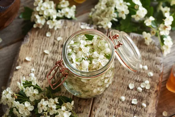 Bahar aylarında taze dikenli çiçeklerden elde edilen bitkisel tentürlerin hazırlanması