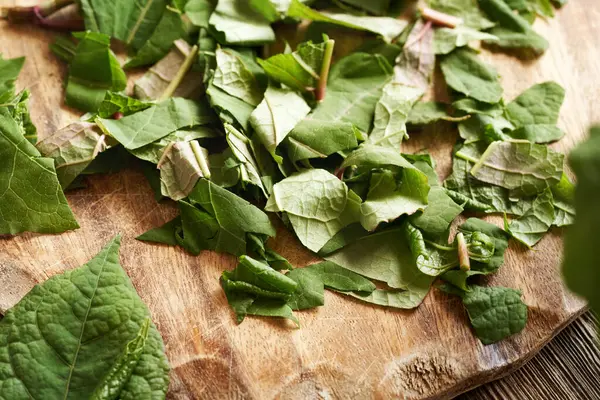 Doğranmış Japon düğümü ya da Reynoutria japonica yaprakları masanın üzerinde - ev yapımı bitkisel tentürler için malzeme