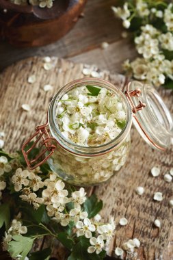 Bahar aylarında cam bir kavanozda taze dikenli çiçeklerden elde edilen bitkisel tentürlerin hazırlanması
