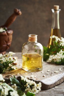 İlkbaharda toplanan taze dikenli çiçeklerle birlikte bir şişe bitkisel tentür.