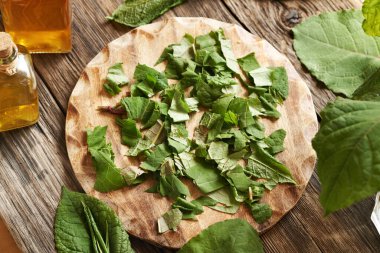 Ahşap kesim tahtasının üzerinde doğranmış Japon düğümü yaprakları - ev yapımı bitkisel tentürler için malzeme