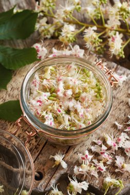 Taze yabani at kestanesi çiçekleri ve alkolle dolu cam kavanoz. Ev yapımı bitkisel tentürlerin hazırlanması.