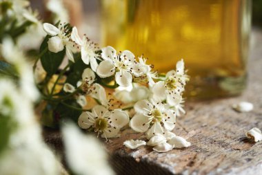 Baharda masanın üzerinde toplanan dikenli çiçekler ve arka planda bir şişe bitkisel tentür.