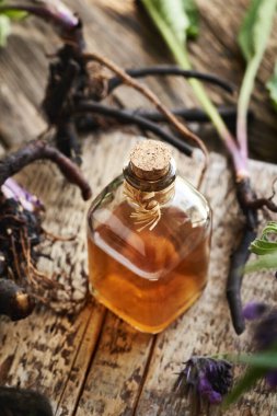 Taze örgü kemikli bir şişe bitkisel tentür ya da masada kuş kökü.
