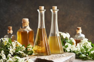 İlkbaharda toplanan taze dikenli çiçekli kalp için bitkisel tentürler.