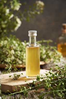 Taze çiçek açan çoban çantasıyla birlikte bir şişe bitki özü.