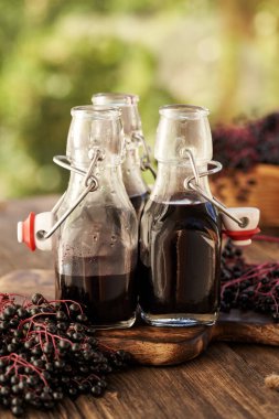 Üç şişe siyah yaşlı şurubu ve taze elderberry.
