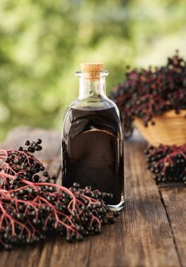 Bir şişe siyah yaşlı şurubu ve yazın toplanan taze mürver.