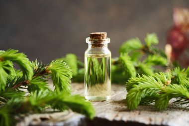 İlkbaharda taze ladin dalları toplanmış bir şişe aromaterapi esaslı yağ.