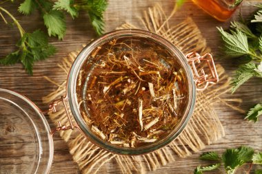 Taze ısırgan otu kökü ve alkolden ev yapımı bitkisel tentürler yapmak.