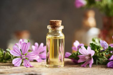 Malva Sylvestris bitkisiyle birlikte şeffaf bir mallow yağı şişesi.