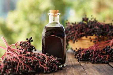 Yazın bahçede taze elder üzümlü bir şişe siyah yaşlı şurubu.