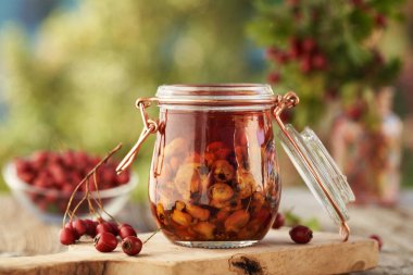 Cam bir kavanozda ezilmiş hawhtorn veya Crataegus üzümü ve alkol - ev yapımı bitkisel tentürlerin hazırlanması