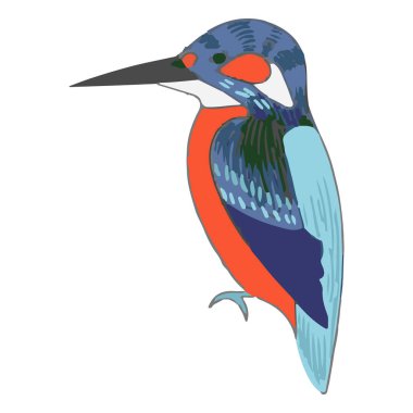 A vibrant and detailed vector illustration of a kingfisher, showcasing its striking blue and orange plumage, perched gracefully on a branch by the water. The design emphasizes clean lines and smooth shapes, creating a modern yet natural  clipart