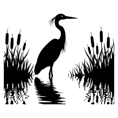  Sergilenen zarif balıkçıl sakin bir göl kenarında duruyor, parlak bir siluet tarzıyla tasvir edilmiş. Vektör çizimleri, doğanın dingin güzelliğini su üzerindeki ince yansımaları ve barışçıl bir ambiyansı yansıtıyor. Tasarım projeleri için mükemmel,