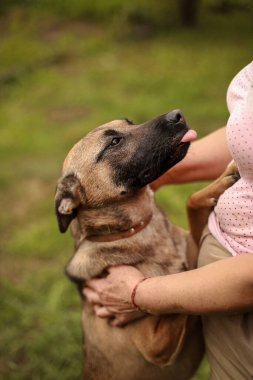 Büyük bir köpek bahçede bir kadına sarılıyor.