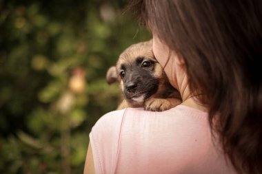 Küçük bir köpek yavrusuna sarılıp öpen bir kız, arkadan yakın çekim.