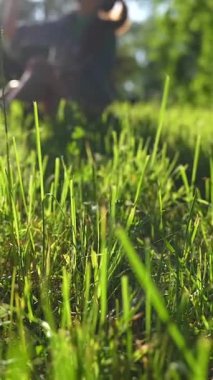 Güzel bir kız güneşli bir günde parkta yeşil bir çimenlikte meditasyon yapar. Nazik bir kamera hareketiyle ve bulanık bir arka planla dingin ve huzurlu bir ruh halini güçlendirir..