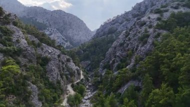 İnsansız hava aracı, dik kayalık uçurumlar, çam ağaçları ve dolambaçlı toprak bir yol ile dağ geçidinde uçuyor. Macera ve doğa temaları için mükemmel..