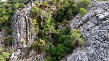 Çatlaklar arasında büyüyen yeşil orman bitkileriyle sarp kayalıkların detaylı görüntüsü, ham doğa ve doğal dokuları gözler önüne seriyor..