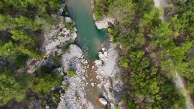 Yoğun bir çam ormanının içinden geçen turkuaz bir nehrin havadan çekilmiş videosu ve yanında manzaralı bir yürüyüş yolu var..