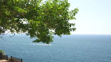 Bereketli yeşil ağaç dalları tarafından çerçevelenmiş, sakin mavi sularda süzülen beyaz bir sürat teknesi kıyı manzarası üzerinde asılı duruyor.. 