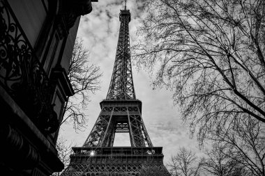 Eyfel Kulesi 'nin çıplak kış ağaçları ve tarihi Paris binalarıyla çerçevelenmiş siyah ve beyaz dramatik bir fotoğrafı. Gün boyunca bulutlu bir gökyüzü altında çekildi..