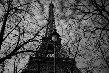 Fransa, Paris 'teki Eyfel Kulesi' ni çevreleyen çıplak kış ağaçları. Siyah beyaz fotoğraf, karamsar atmosfer, yatay kompozisyon.