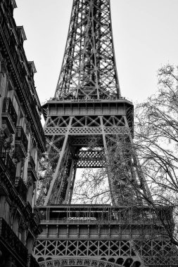 Paris 'teki Eyfel Kulesi' nin klasik binalar ve çıplak ağaçlarla çerçevelenmiş siyah beyaz fotoğrafı. Kentsel kış manzarası ve gündüz çekilen ikonik simge.