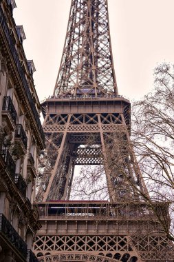 Geleneksel Paris binaları ve çıplak kış ağaçları tarafından çerçevelenmiş Eyfel Kulesi manzarası. Yumuşak ve sıcak tonlarda şehir manzarası. Dikey yönelim.