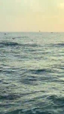 Bir yolcu gemisinin penceresinden dalgalanan açık denizi, uçan martıları ve okyanusun üzerinde gün doğumunda yumuşak bir pastel gökyüzünü görebilirsiniz.. 