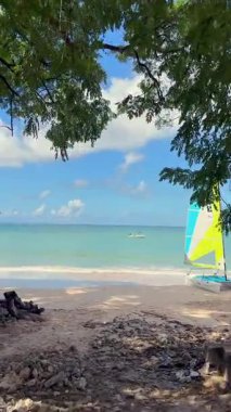 Sahile yakın bir yelkenli teknesi olan tropik sahil manzarası. Çerçevesi yemyeşil ağaçlar ve durgun mavi suyla çevrili. 