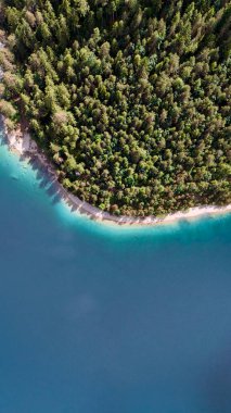 Orman ve turkuaz göl kıyılarının havadan görünüşü